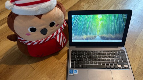 Asus vivobook w202na - asus, 11.6"