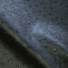 Ostrich Textured Leatherette