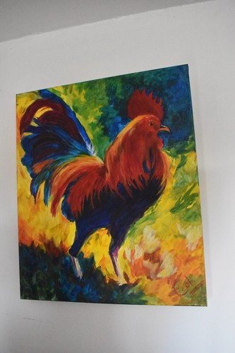 Hot shot rooster - shot, marion