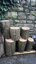 Tree Stumps / seats / Stools /
