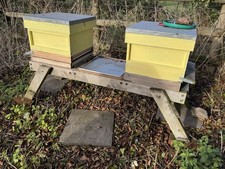 LARGE QUANTITY OF BEEKEEPING EQUIPMENT - ALMOST ENOUGH TO GET STARTED!  