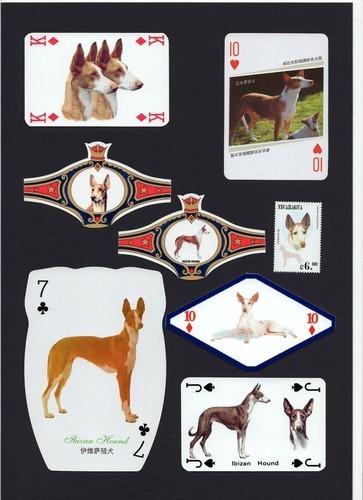 Ibizan hound mounted set - ibizan,