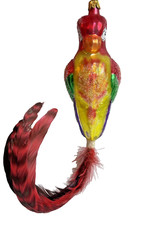 Vintage  Parrot With Feather