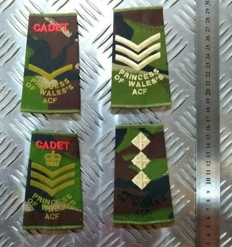 Pwrr rank slide woodland dpm - pwrr,