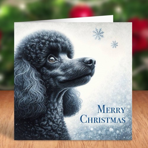 Miniature poodle dog - poodle, christmas