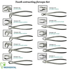 SURGICAL Range Of Dental Tooth