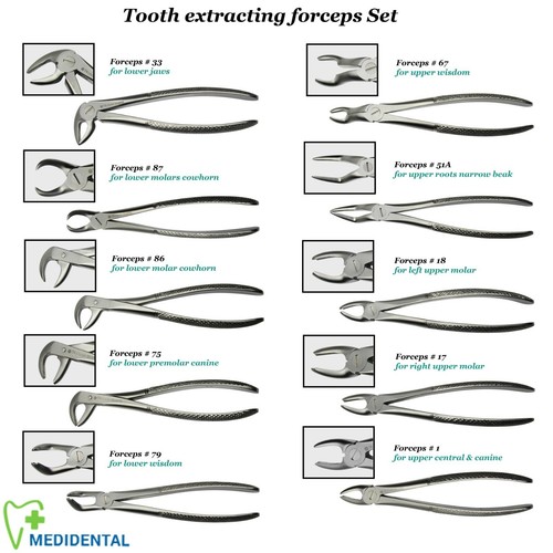 Range dental tooth - dental,