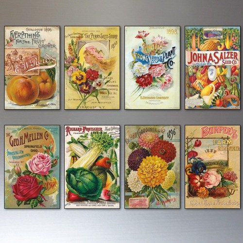 Vintage botanical seed - vintage, packet