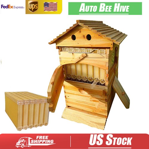 Complete bee hives - hives, starter