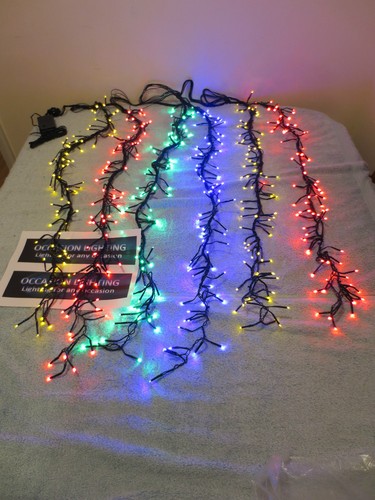 Boxed christmas colour garden - christmas,