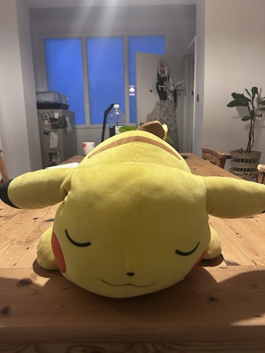 Pokémon pikachu sleeping - pikachu,