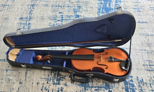Skylark beginners violin - beginners,