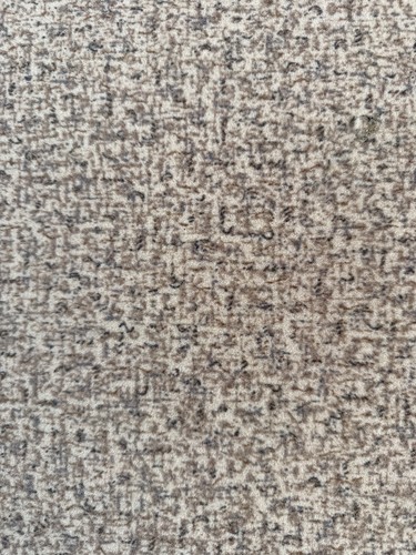 Flotex carpet remnant beige - flotex,