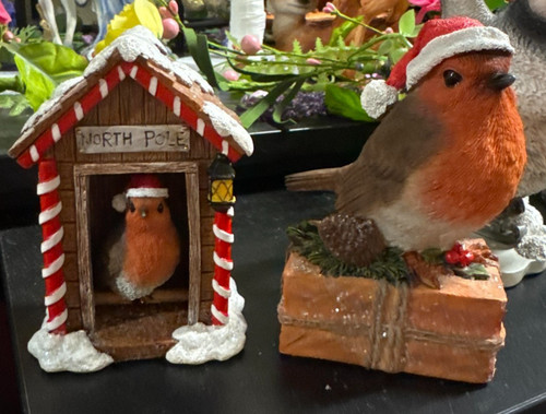 Winter robin sentry - winter, box