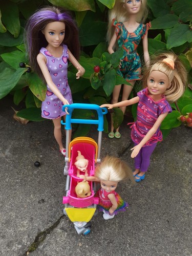 Barbie sisters doll bundle - barbie,
