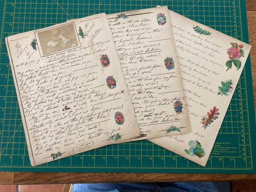 Victorian album pages the - victorian,