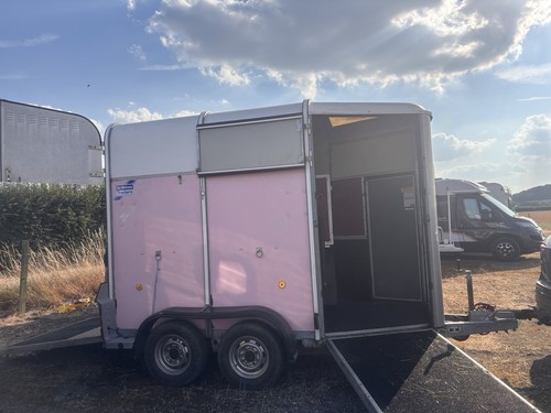 Pink iforwilliams horse - pink,