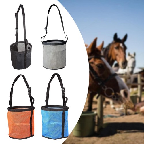 Horse feed bag hay - horse,
