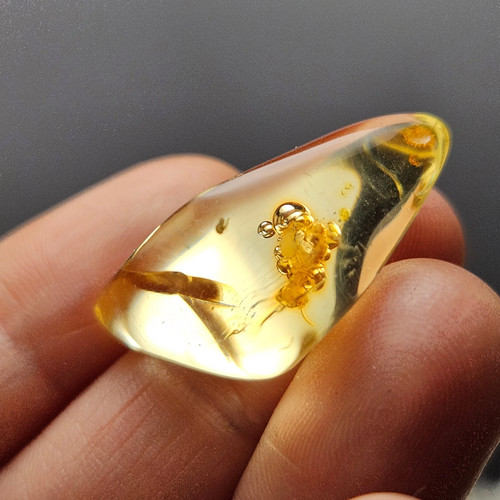 Enhydro amber with bugs - amber,