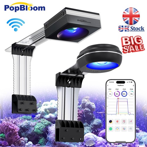 Popbloom rl60 rl90 wifi - rl90, marine