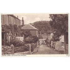 DITTISHAM-ON-THE DART Manor