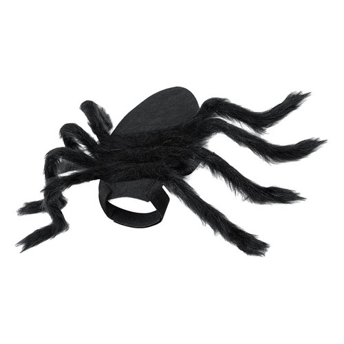 Pet cat spider - cat, dress