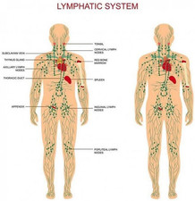 2 Pack Lymphatic Drainage