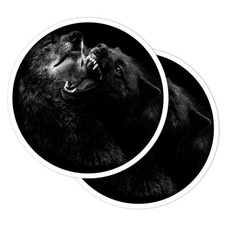 2x Vinyl Stickers Fierce Black Wolves Wolf Dog Fight #52841
