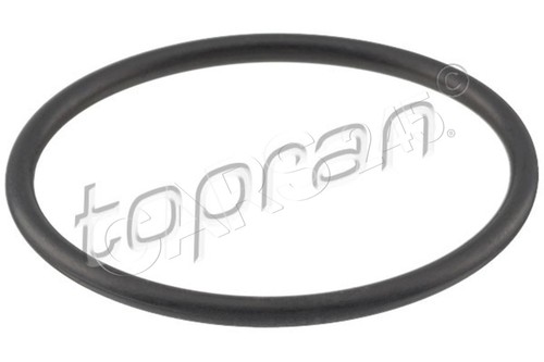 Thermostat housing gasket - thermostat,