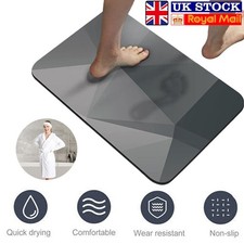 Absorbent Diatomaceous Earth