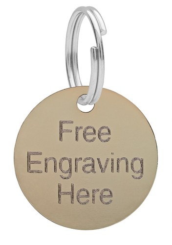 Dog cat pet tag puppy - pet, tag,