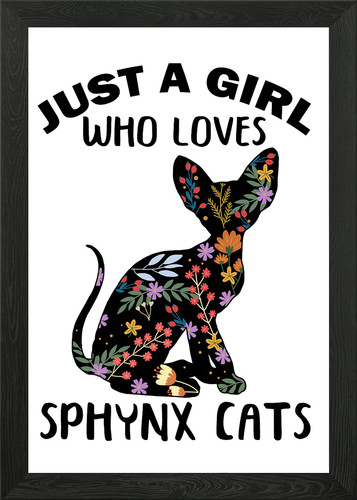 Cat lady sphynx - cat,