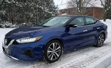 Nissan Maxima SL WHEEL NUT ALL