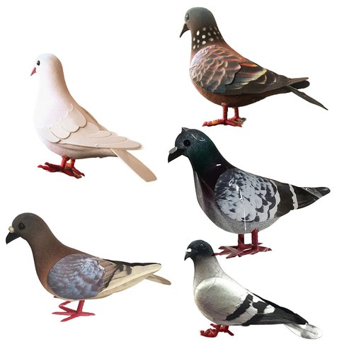 Simulation foam pigeon - foam,