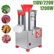 110V/220V Electric Commercial