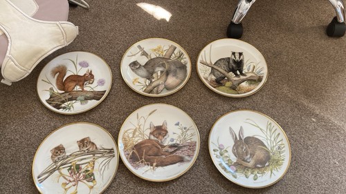 Wedgewood wildlife britain - of,