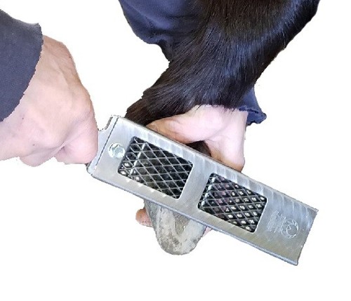 Cody james littlefoot hoof - james,