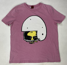 Zara Peanuts Woodstock