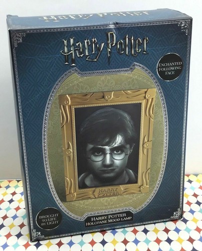Harry potter portrait frame - harry,