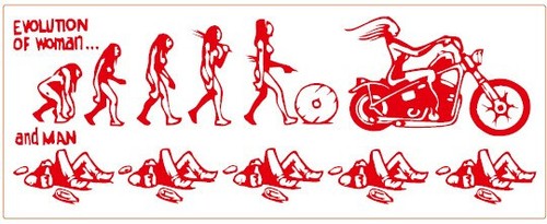 256 hells angels - hells, 81