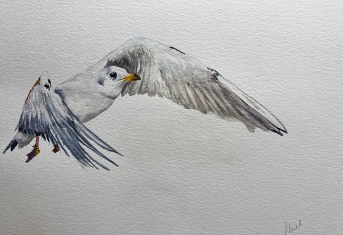 Watercolour painting original - watercolour,