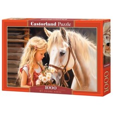Jigsaw Puzzle 1000 pcs