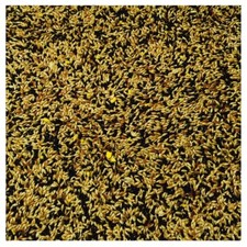 Bucktons No.1 Mixed Canary 500g ,1 ,2 ,5 & 10kg Cage Aviary Bird Seed Loose Bag
