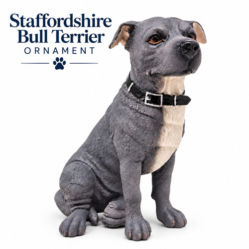 Staffordshire bull terrier - staffordshire,