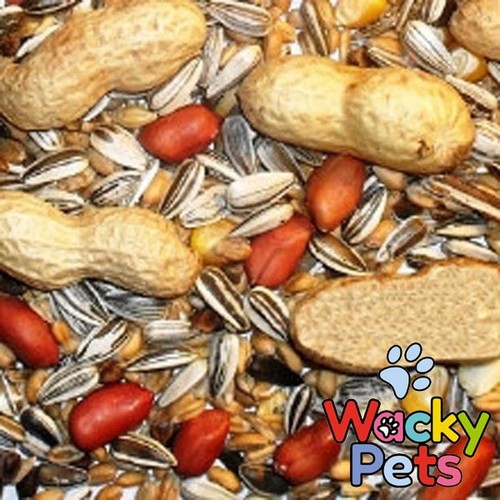 Squirrel food feed johnston - feed, &