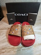BN COACH Udele Sport  Slides