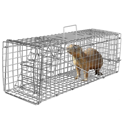Animal traps cage for squirrel - animal,