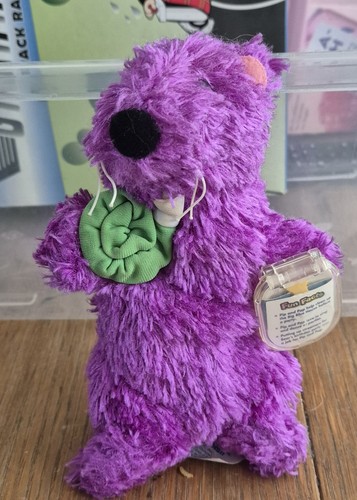 Rare pip star bean bear - pip,