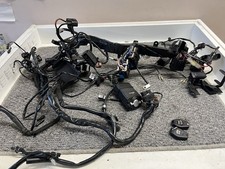 Triumph 765rs Wiring Loom With
