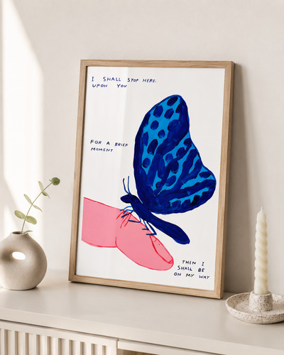 David shrigley butterfly art - shrigley,